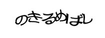 Authentication image